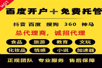 成功案例：网站sem托管如何影响销售数据